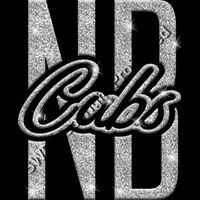 GLT95 SILVER GLITTER Thumbnail